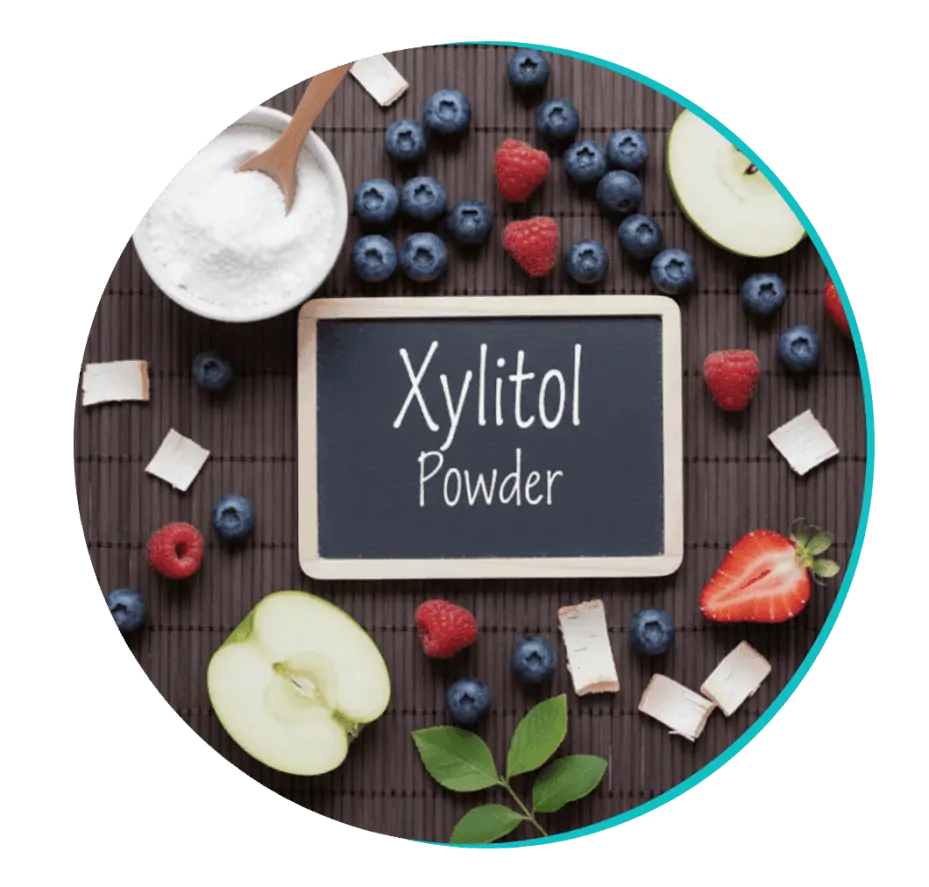 Xylitol Powder